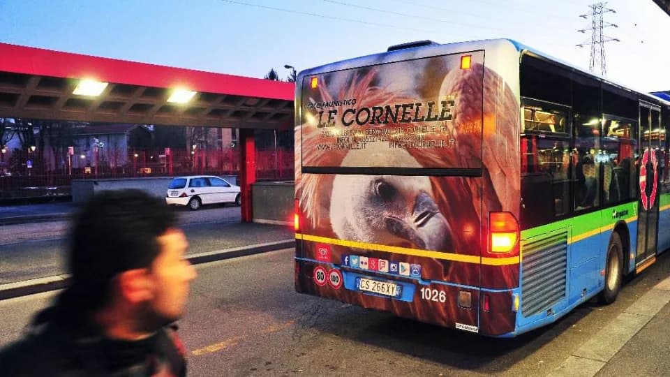 Monza Bus Full Wrap, Full Back, Mupi