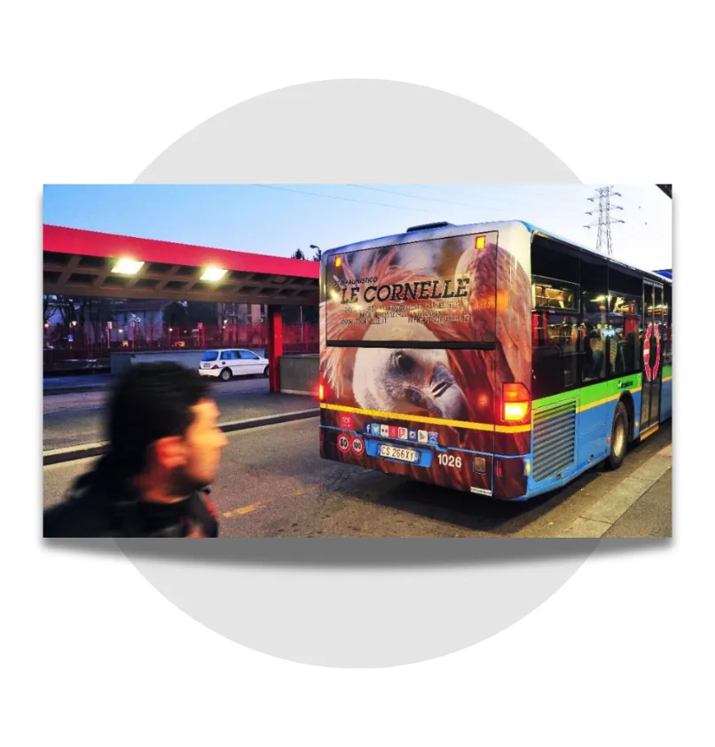 Monza Bus Full Wrap, Full Back, Mupi